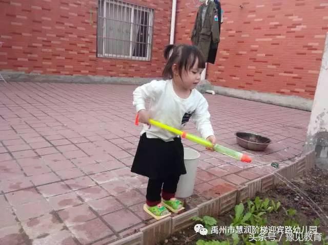 禹州韩城慧润阶梯幼儿园,禹州慧润阶梯幼儿园教学模式