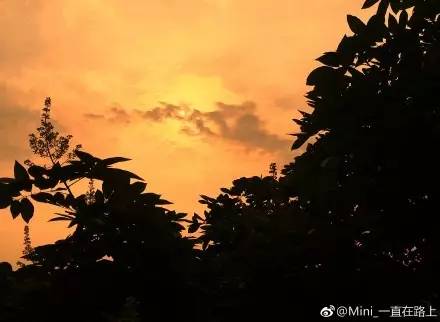 温江进城务工随迁子女就读政策;明天温江交警街头免费发粽子;新增4条交通严管示范街;经常熬夜玩手机导致暴盲;这就是今日温江大新闻!