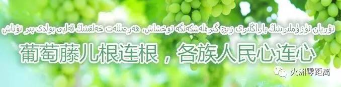 吐鲁番为啥是“一带一路”上最有魅力的城市