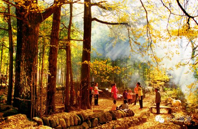 长兴一不小心,湖州长兴成了“中国最美休闲胜地”!