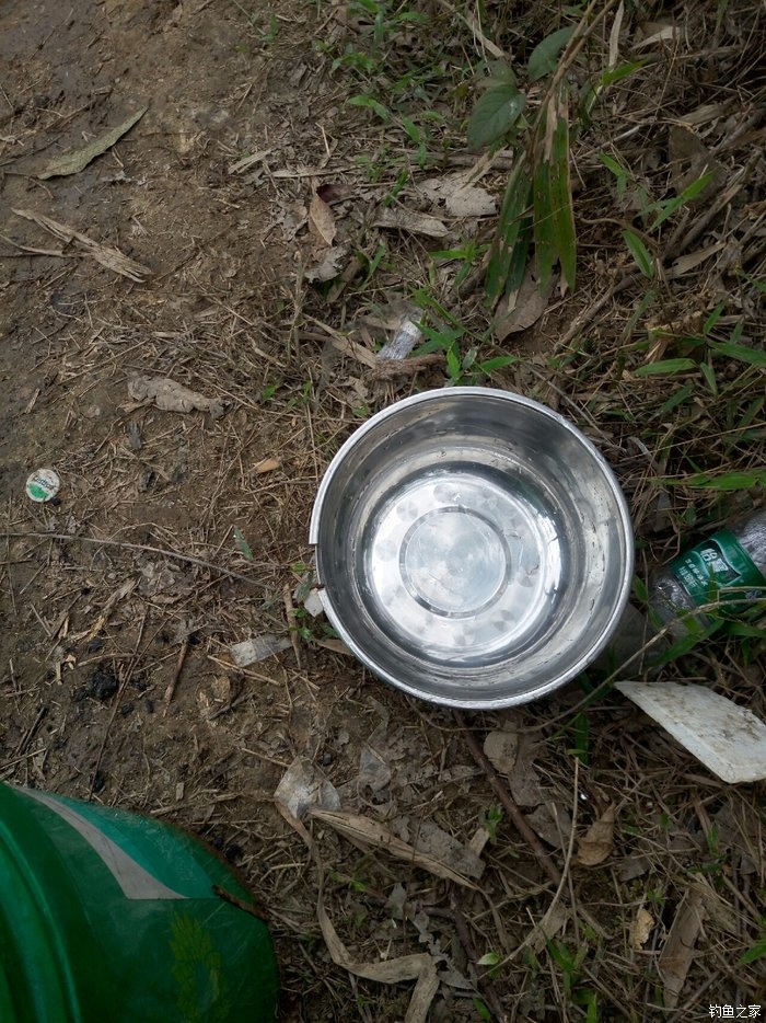 刚学会钓鱼就上钩了,刚刚学钓鱼好吗