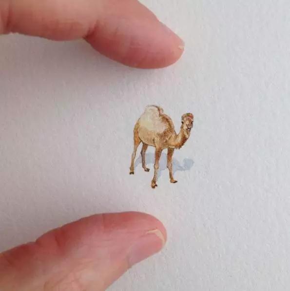 拇指插画,艺术个人插画