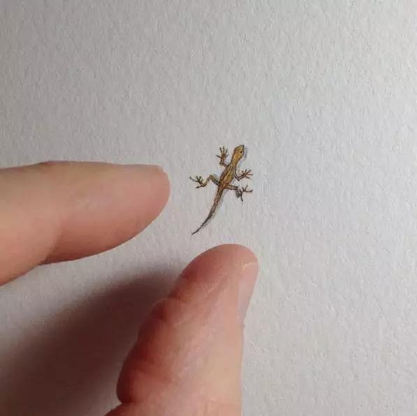 拇指插画,艺术个人插画