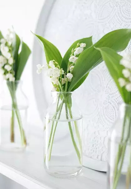 每日一花花语,周大福铃兰花开幸福归来