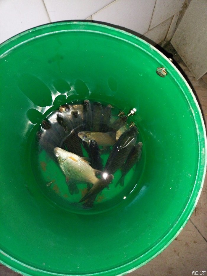 刚学会钓鱼就上钩了,刚刚学钓鱼好吗