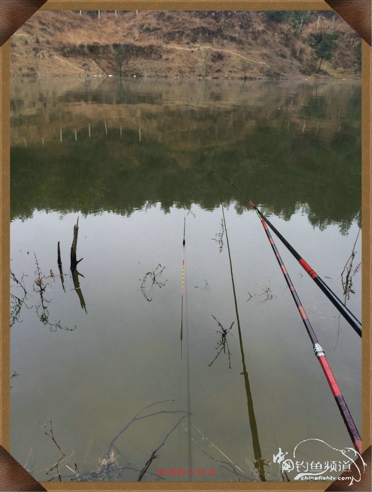 冷雨咬钩,冷雨钓鱼钓多深