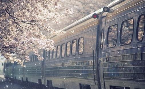 去日本什么值得买,去日本买东西可靠吗