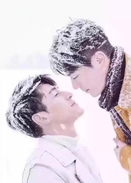 胡霍cp组合图片,胡霍霍cp动图