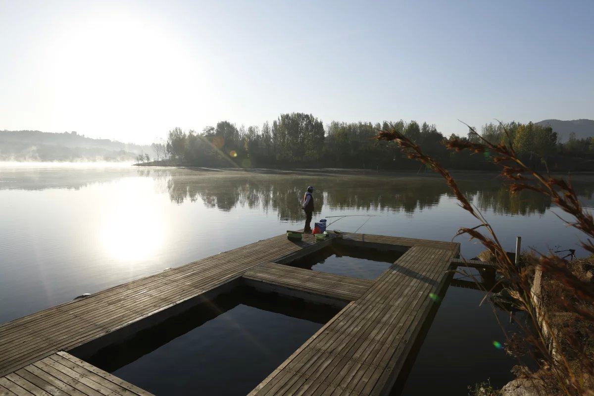 垂钓大师游戏钓鱼技巧,垂钓大师私家秘诀书