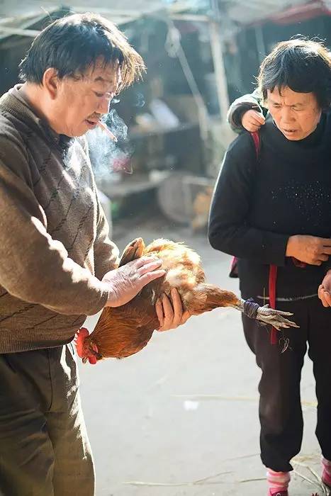 夏天就该去玩,夏天就去丽江旅游