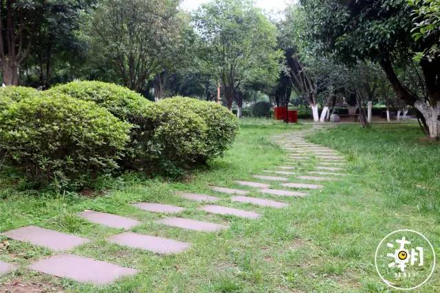 重庆桂花园景点,重庆桂花公园免费