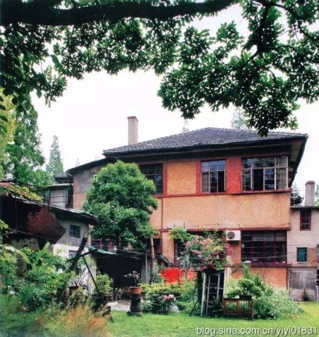 上海四条好看的马路,上海最美一条街