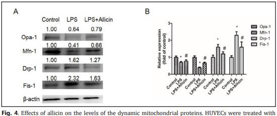 大蒜都上SCI,茅台改善肝癌也能上PlosONE,他们是怎么做到的?