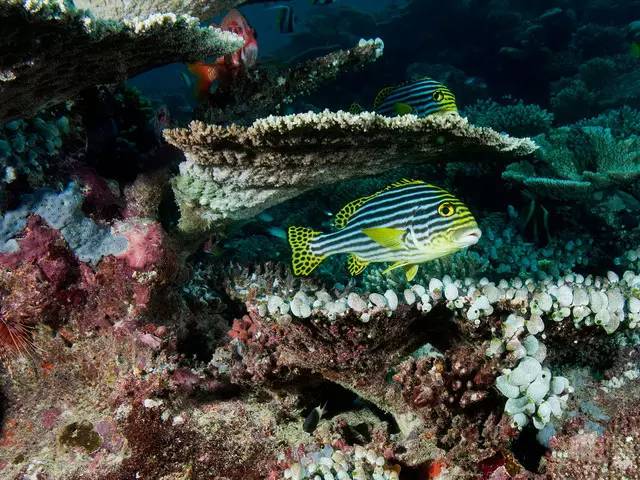 马尔代夫的温柔与浪漫,马尔代夫遇见爱情