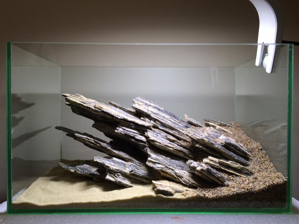 小型圆形草缸开缸过程,草缸开缸第一天要不要开过滤