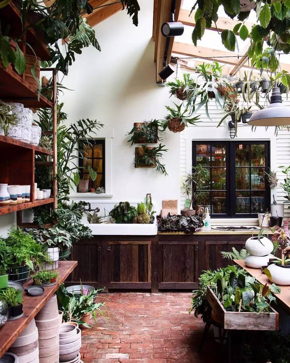 卖的最好的植物店,植物店能买到哪些植物