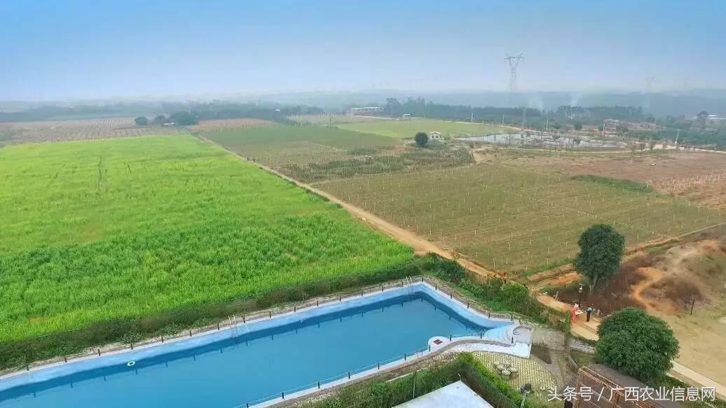 广西苏式园林,合浦周边园林