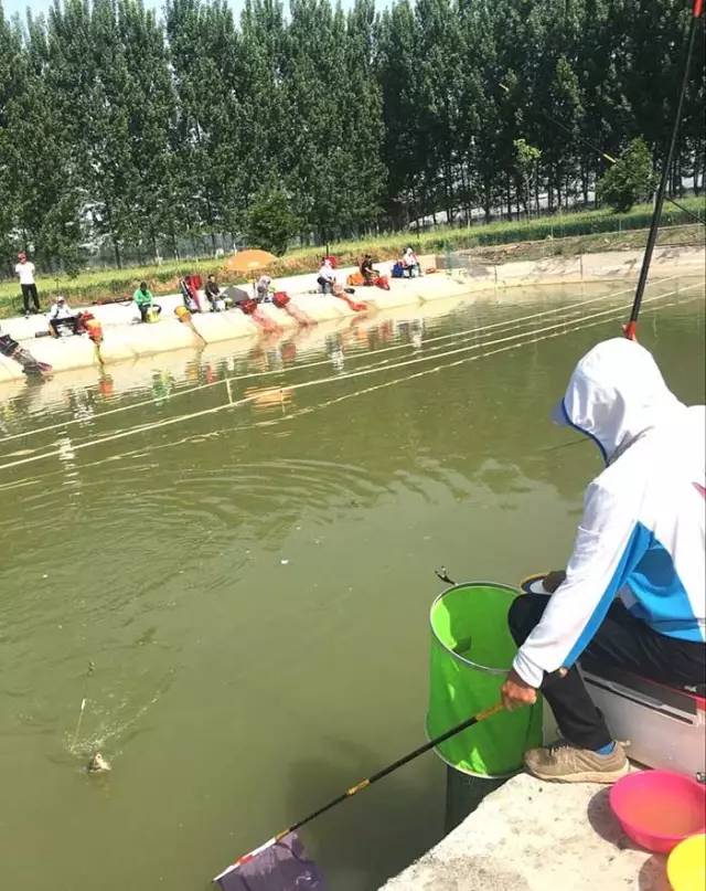沁阳钓鱼比赛,河南永城垂钓比赛