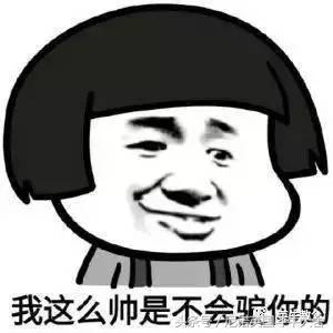 如何用最少的钱买到玛莎拉蒂,如何用最少的钱买一只猫