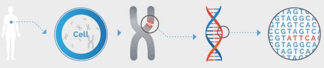 2022年美国临床肿瘤学会,2017美国临床肿瘤学会