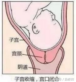 宫口从一指开到10指要多久,宫口从1指开到2指用了24小时