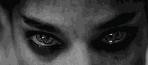 新木乃伊后续,新木乃伊打脸路人