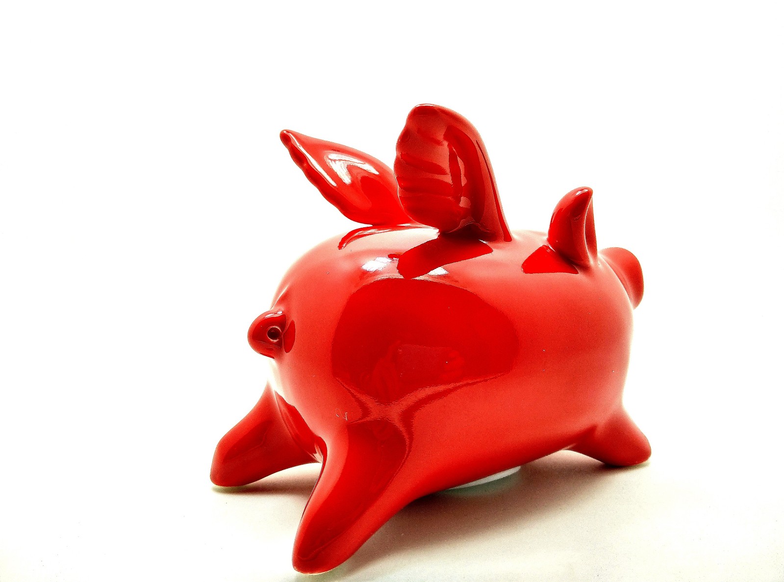 站在风口上猪都能飞电影,站在风口猪也可以飞起来