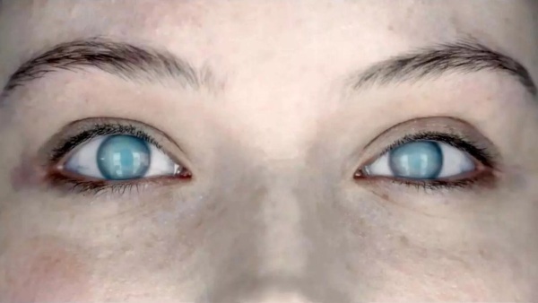 不建议看的十部恐怖片,十部绝佳恐怖片全程烧脑无尿点