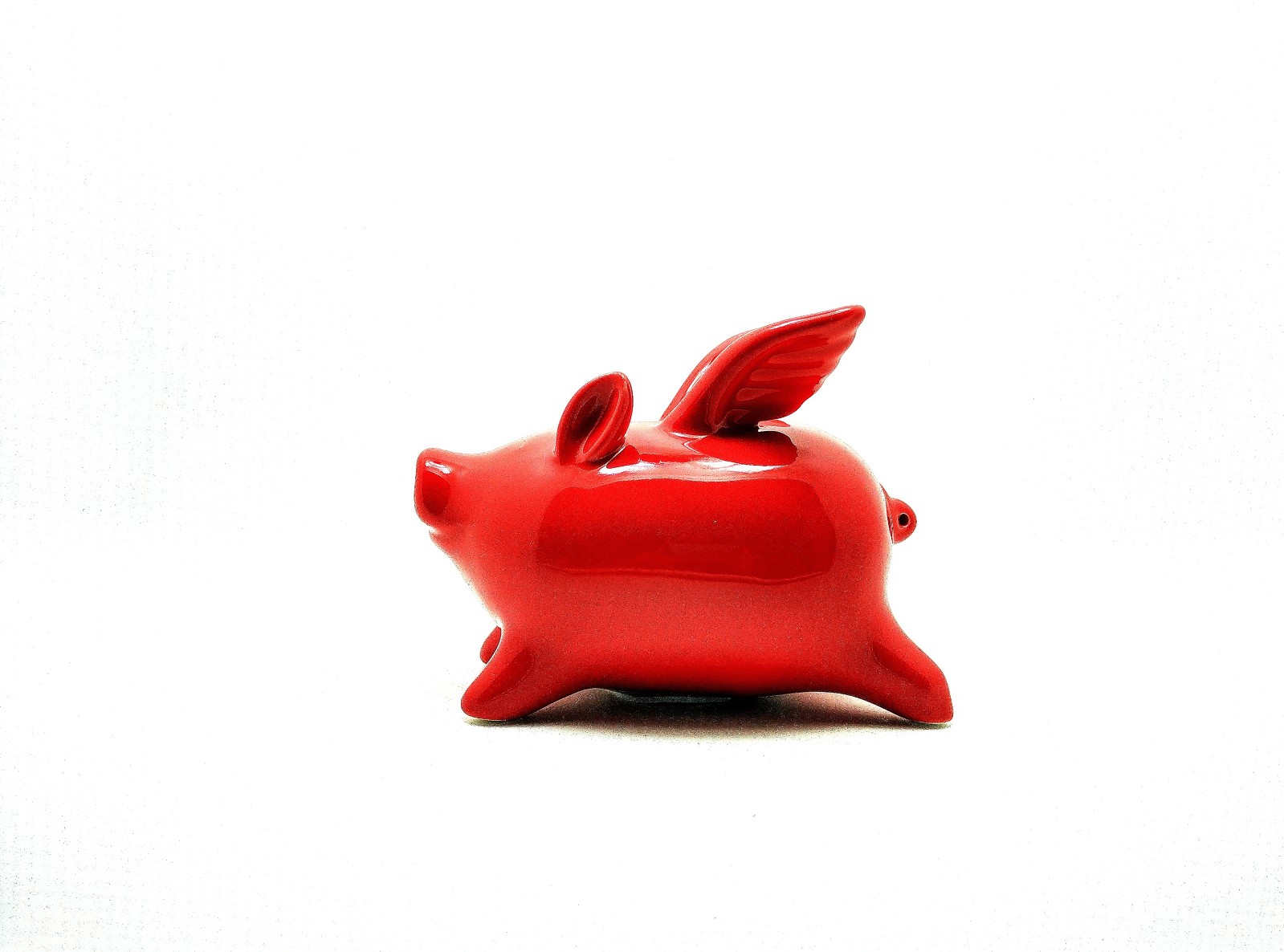 金猪陶瓷存钱罐大容量,存钱罐小猪陶瓷