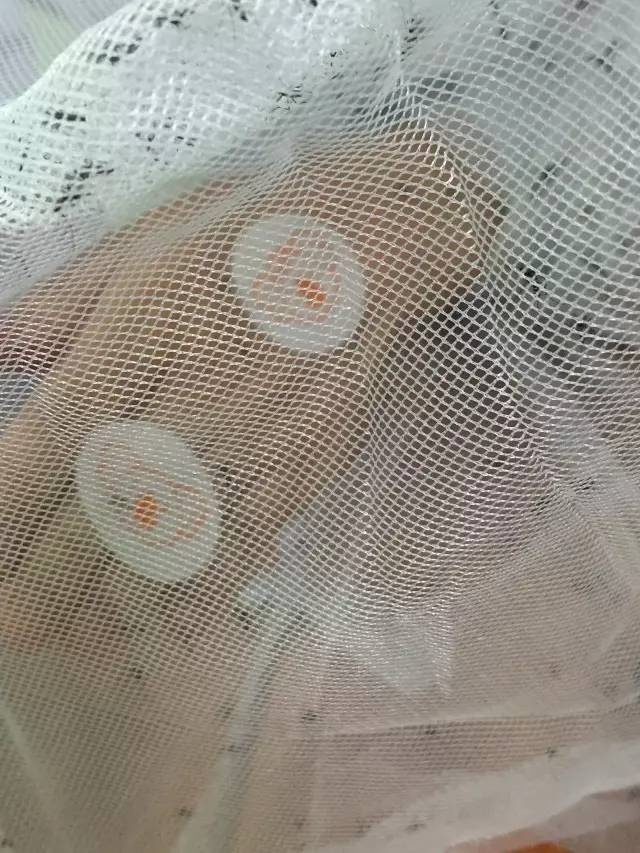 央视驱蚊测评,驱蚊产品测评主播