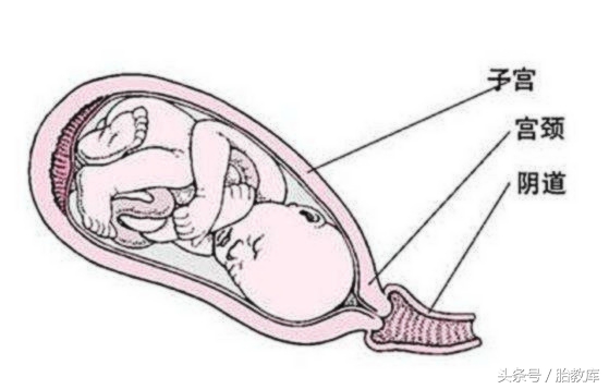 宫口从一指开到10指要多久,宫口从1指开到2指用了24小时