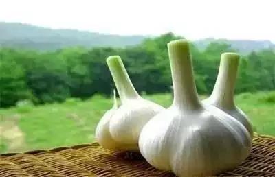 小儿发烧做什么食谱,适合小儿发烧的汤