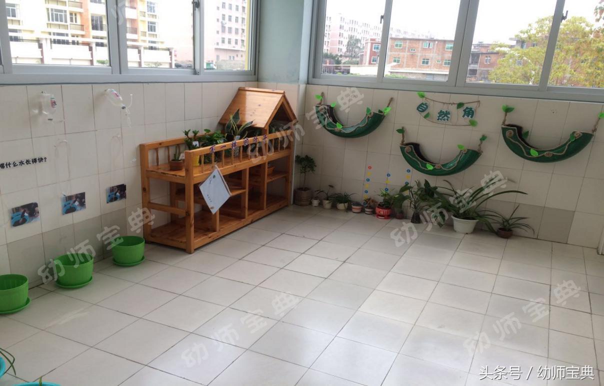 幼儿园树枝的创意环创,幼儿园树叶主题的环创