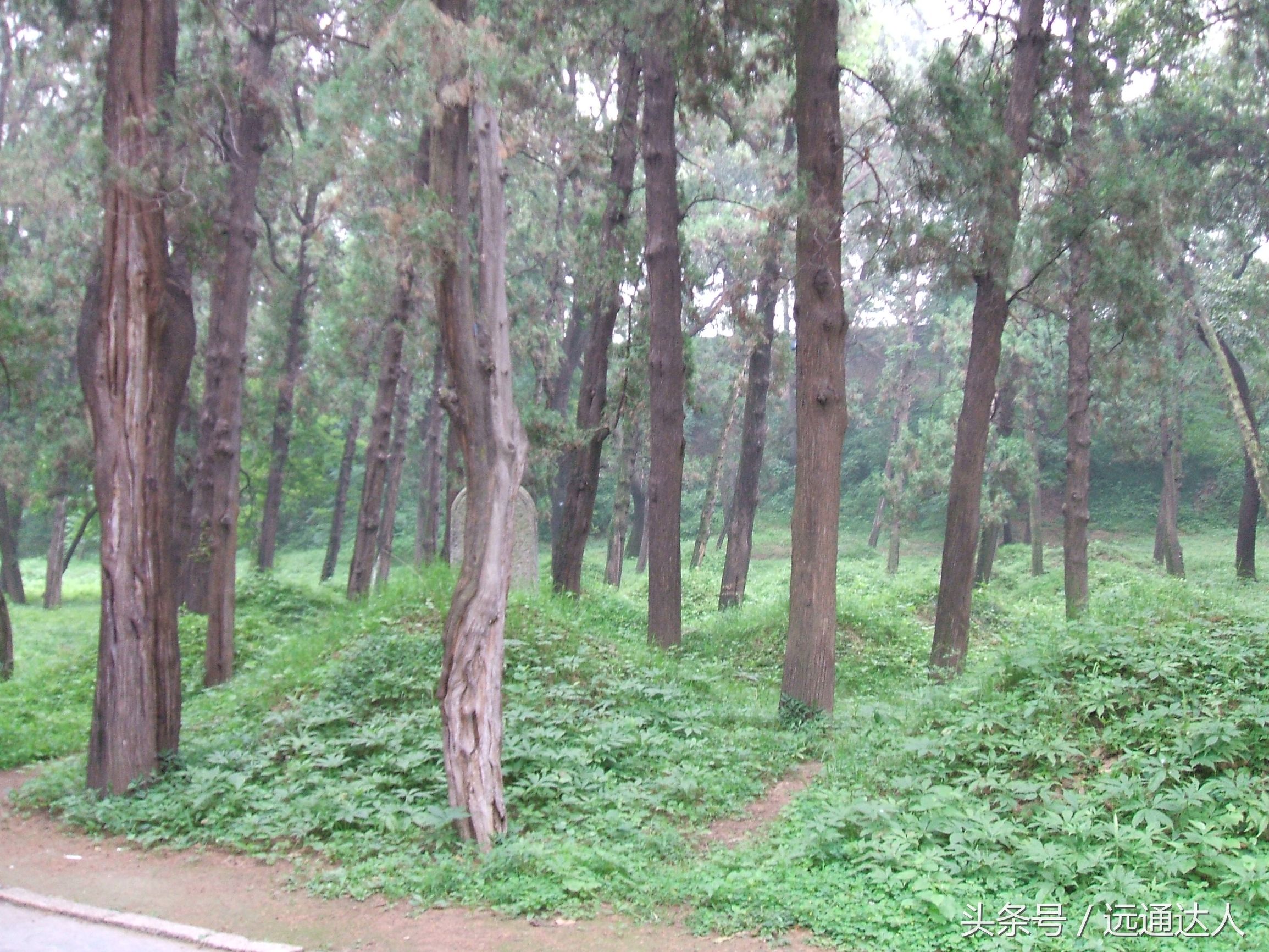 身为泰安人第一次爬泰山,陪爷爷爬泰山感慨朋友圈