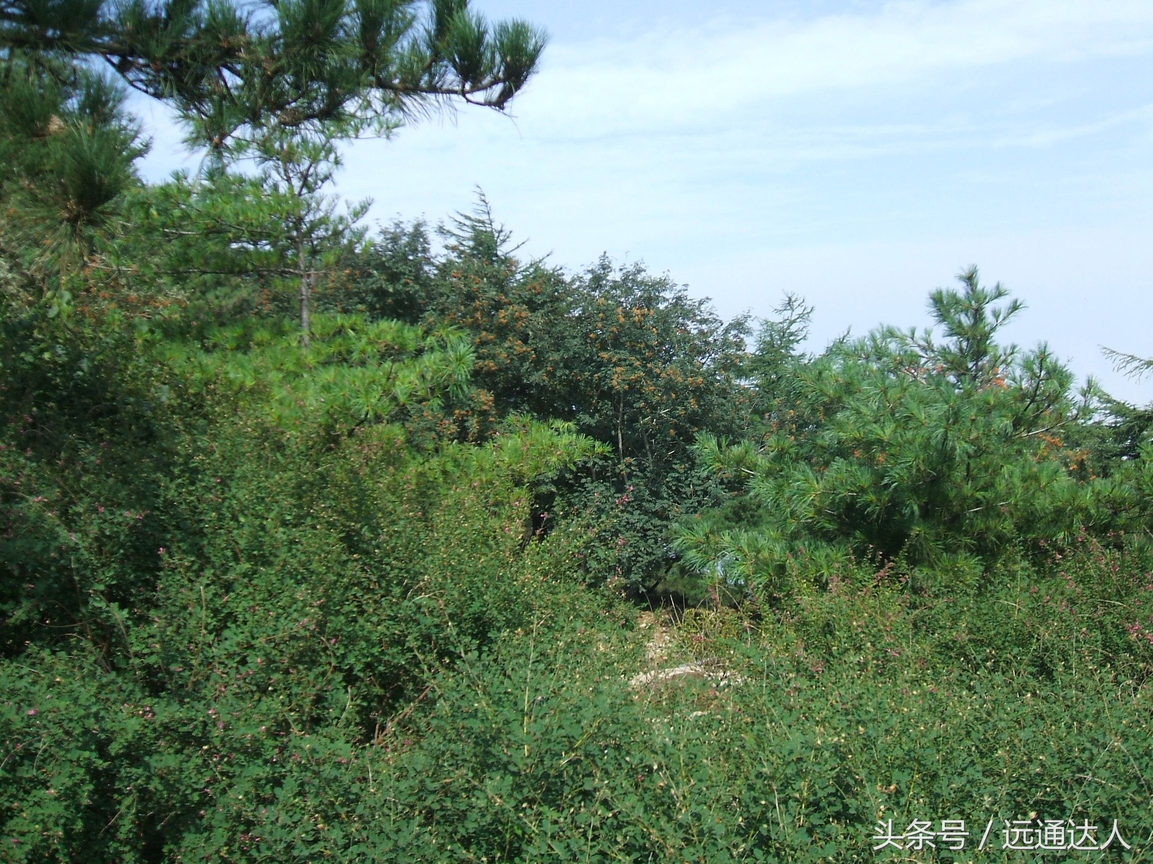 身为泰安人第一次爬泰山,陪爷爷爬泰山感慨朋友圈