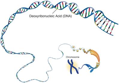遗传疾病基因检测有意义吗,遗传基因治疗癌症案例