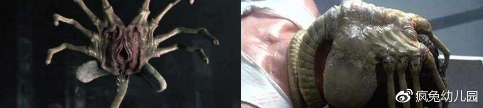 看异形整个系列顺序,想看懂异形先看哪一部