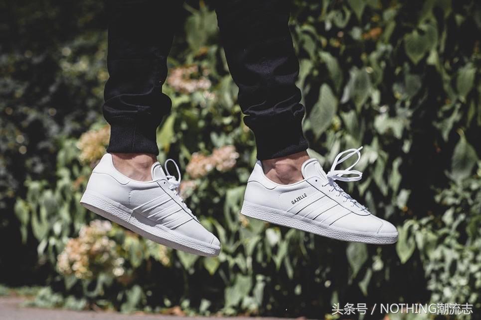 一句话介绍小白鞋,小白鞋推荐经典语录