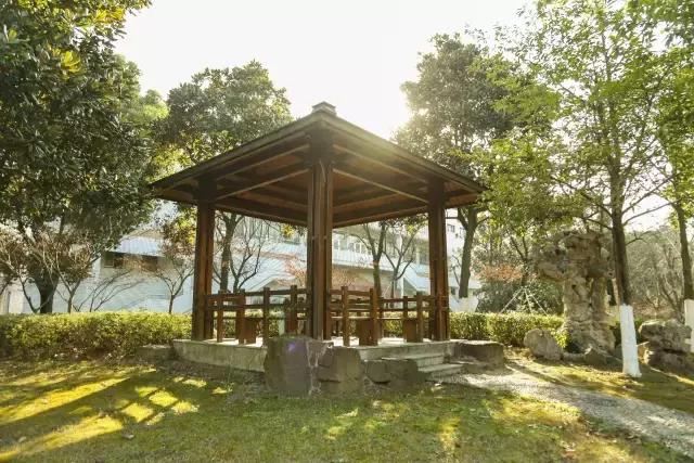 邂逅苏农,苏农视频