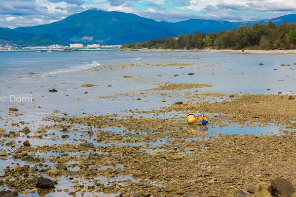 一顿海鲜大餐都有什么,海鲜大餐又便宜又营养又好吃