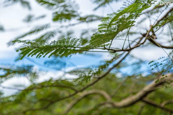 一顿海鲜大餐都有什么,海鲜大餐又便宜又营养又好吃