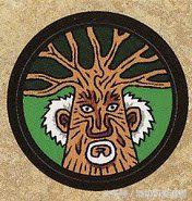 潘奶奶最新视频完整版,潘奶奶全部视频