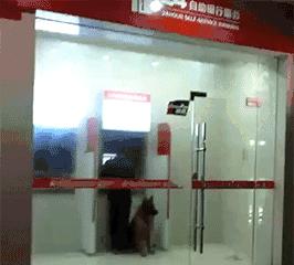 右勾拳高清大图,右勾拳实战