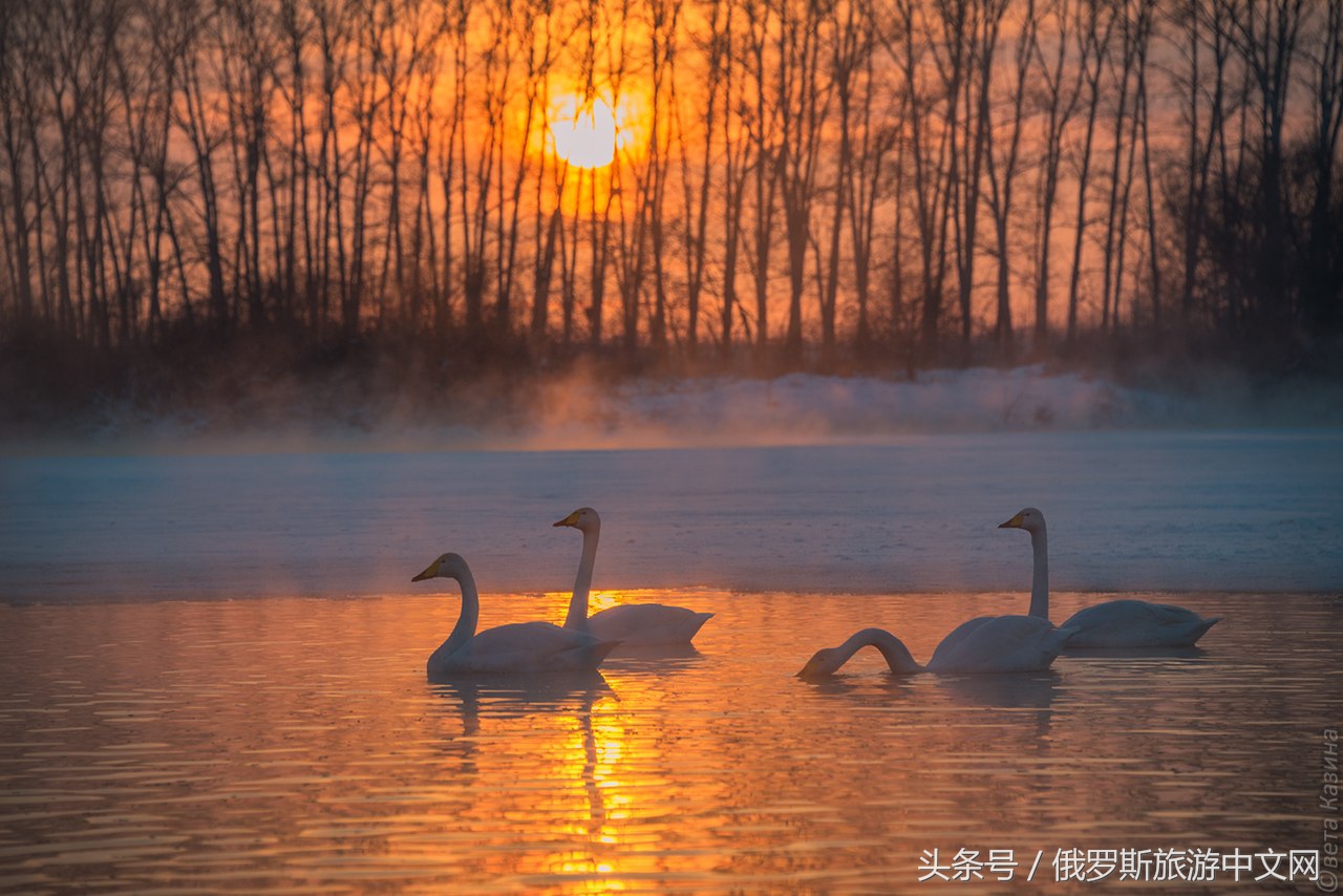 阿尔泰怎么样,阿尔泰什么地方