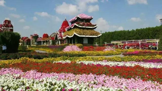 卓越与奢华的代名词—迪拜