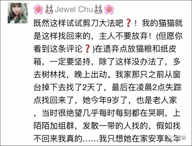 剪刀大法回来的猫,剪刀法找猫成功几率