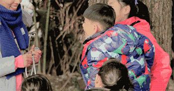 杭州父亲网上筹款办亲近自然学校参考日本富士幼儿园