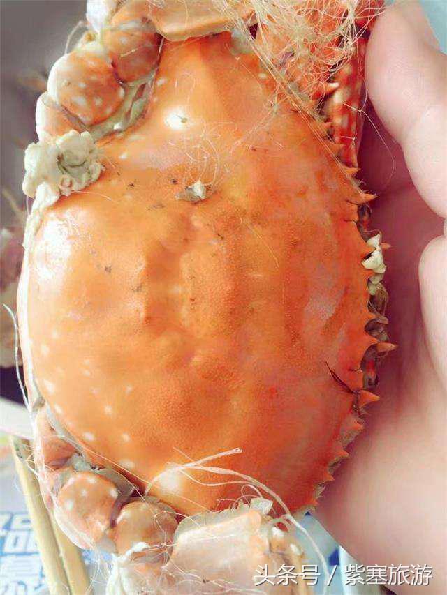 河北田园农家乐攻略,河北海边最有特色的海边农家乐