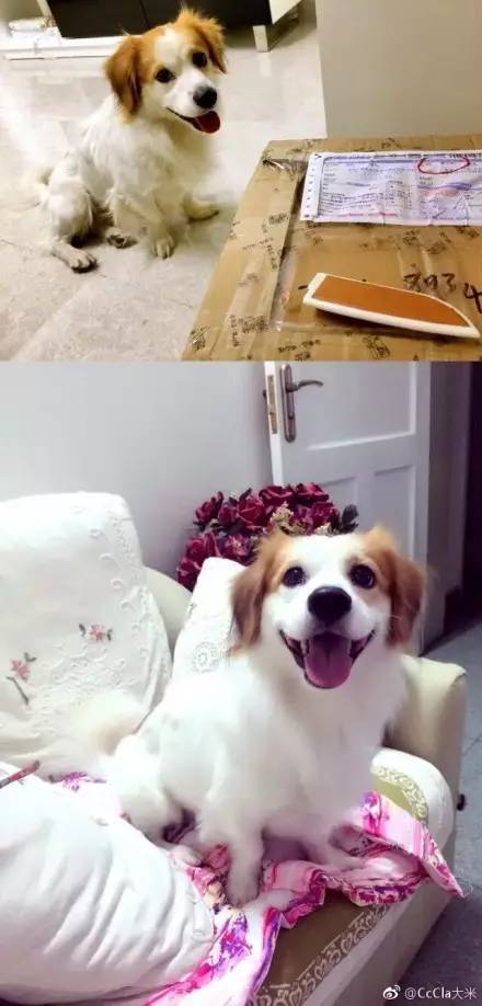 桌边社20170615：这么热的天气出门，撒孜然比喷香水更诱人