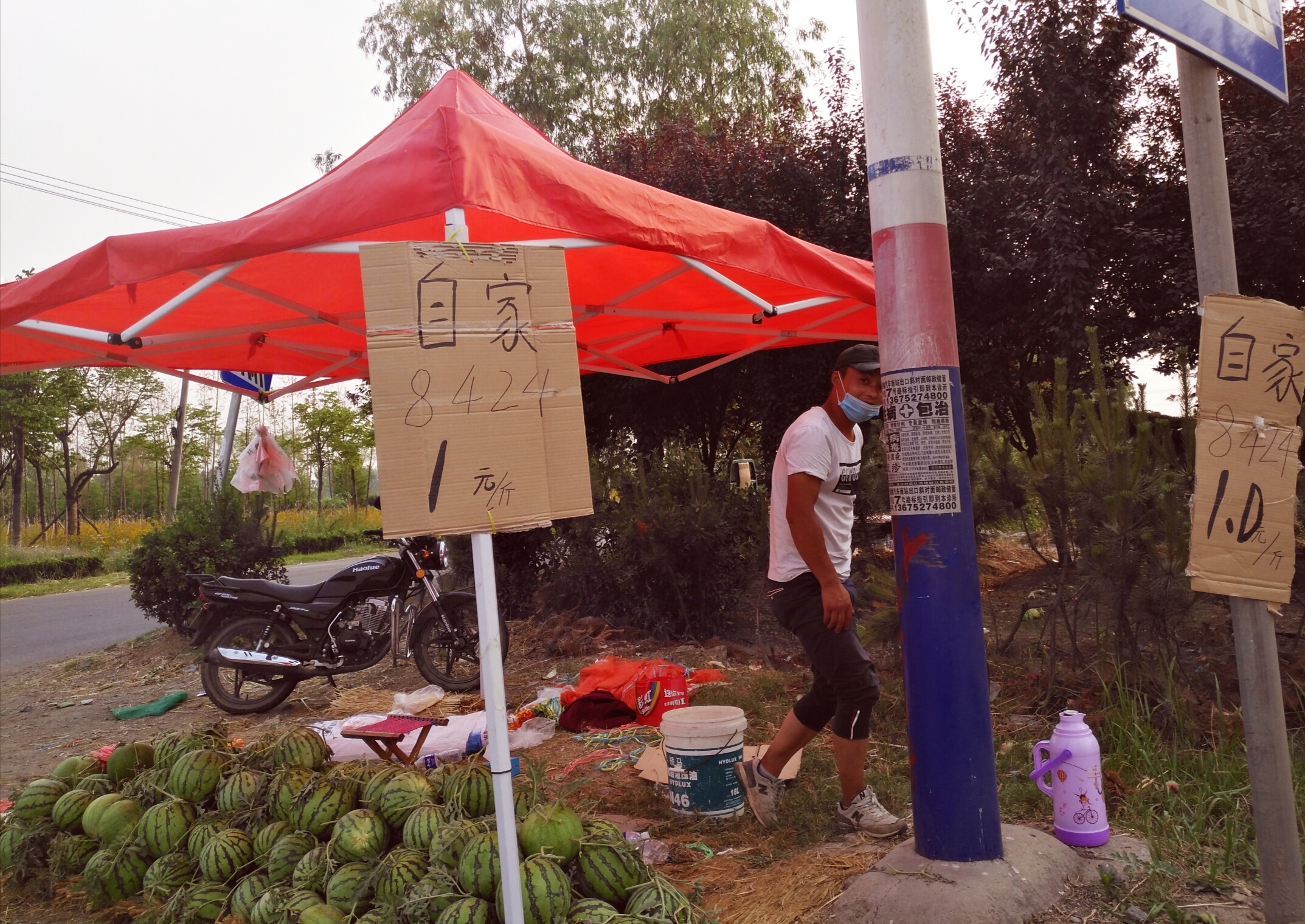 西瓜滞销行情,今年西瓜大概什么时候能便宜